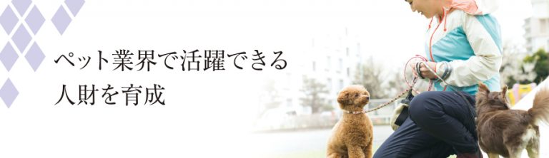 教育事業 エコートレーディング株式会社